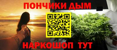 шишки Новозыбков