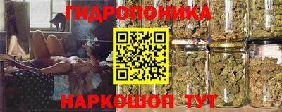 МДМА Новодвинск