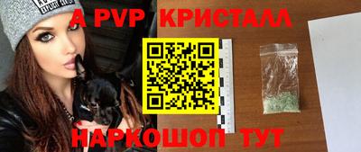 стафф Новокубанск