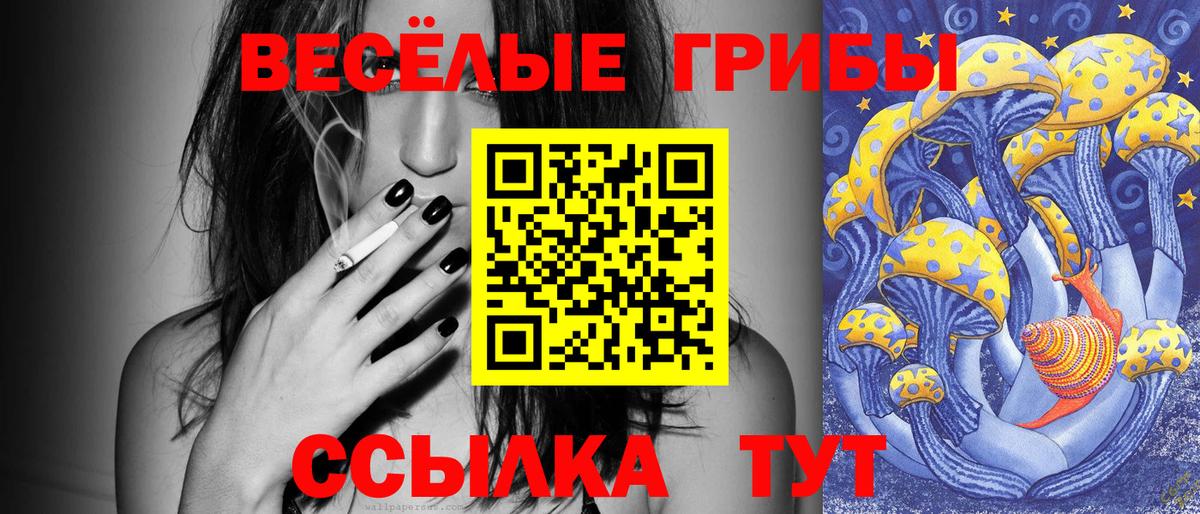 Псилоцибиновые грибы MAGIC MUSHROOMS Строитель
