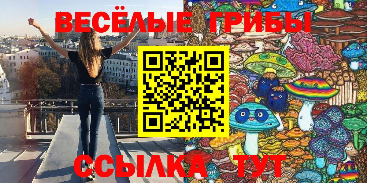 Псилоцибиновые грибы Cubensis  Галлюциногенные грибы ЛСД  Строитель  Вход с VPN 